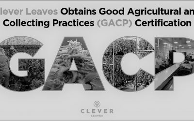 Clever Leaves Granted Good Agricultural and Collecting Practices (GACP) Certification